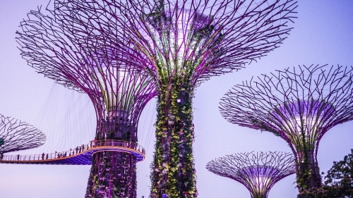 Why Expats From Around The World Love Singapore