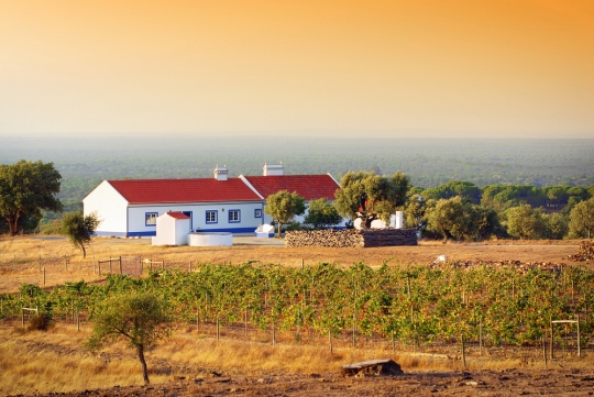 Renovating Rural Property In Portugal – 10 Tips For First-Time Buyers